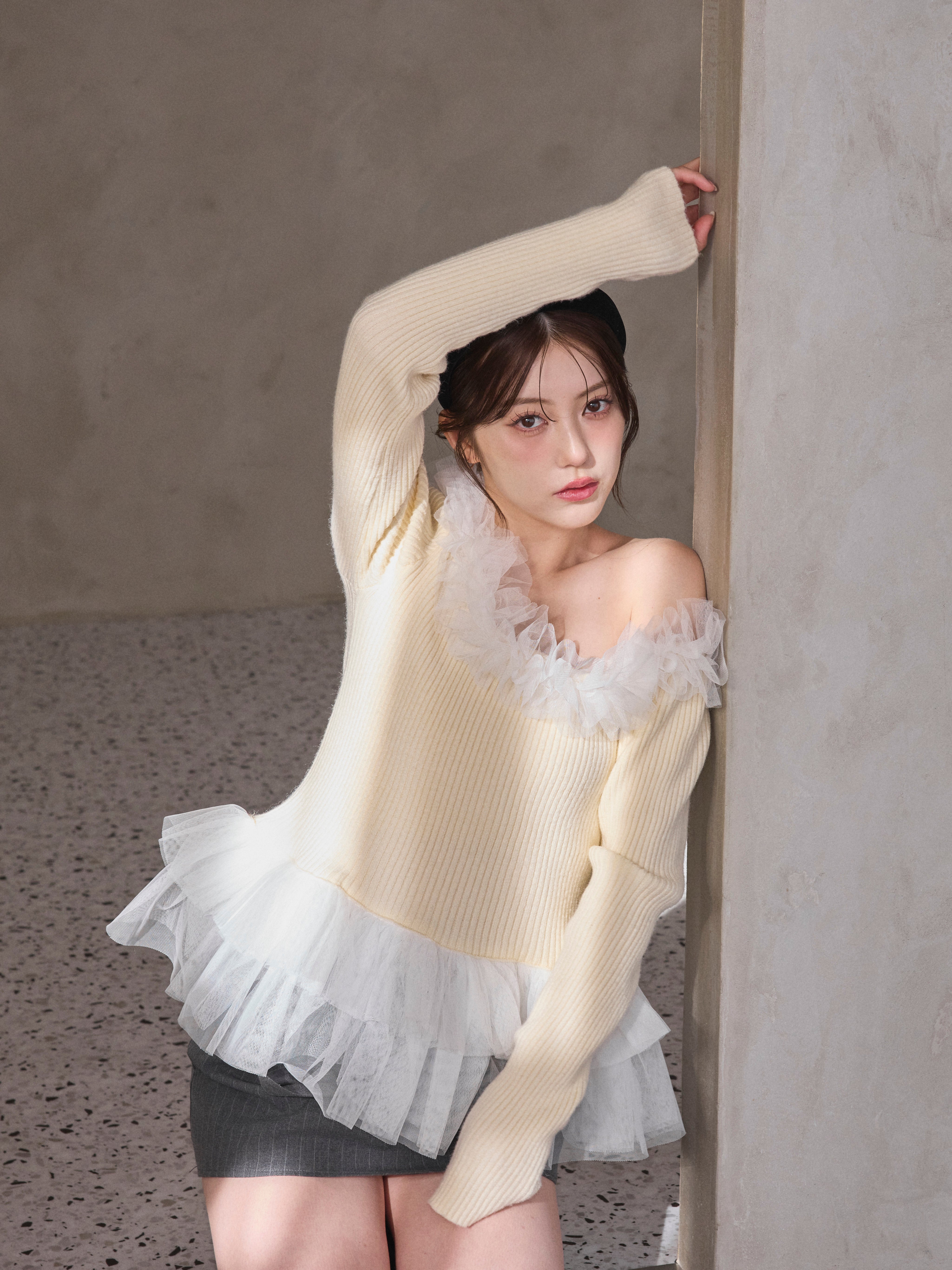 Asymmetry Tulle Knit Top　